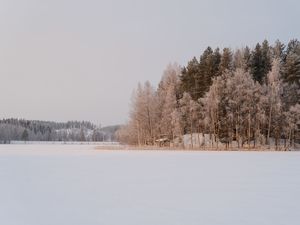 Preview wallpaper trees, snow, winter, nature, landscape