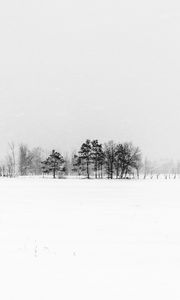Preview wallpaper trees, snow, winter, fog, nature