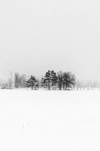 Preview wallpaper trees, snow, winter, fog, nature