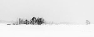 Preview wallpaper trees, snow, winter, fog, nature