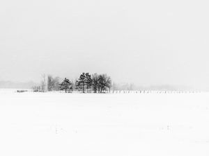 Preview wallpaper trees, snow, winter, fog, nature