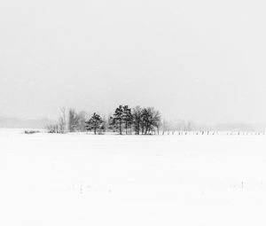 Preview wallpaper trees, snow, winter, fog, nature