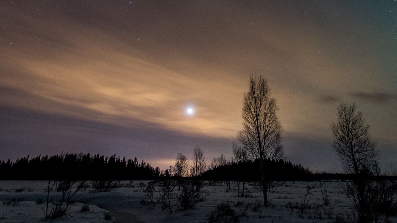 Wallpaper trees, snow, winter, twilight, nature hd, picture, image