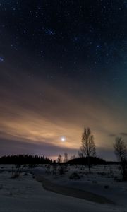 Preview wallpaper trees, snow, winter, twilight, nature