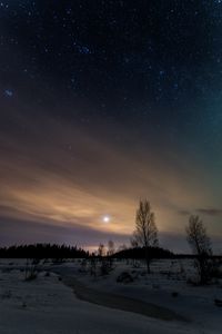 Preview wallpaper trees, snow, winter, twilight, nature