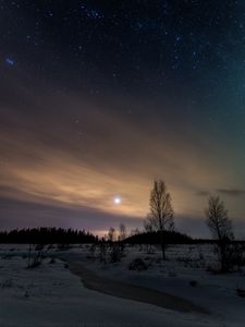 Preview wallpaper trees, snow, winter, twilight, nature