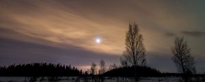 Preview wallpaper trees, snow, winter, twilight, nature