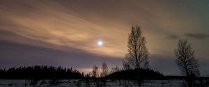 Preview wallpaper trees, snow, winter, twilight, nature
