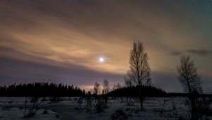 Preview wallpaper trees, snow, winter, twilight, nature
