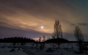 Preview wallpaper trees, snow, winter, twilight, nature