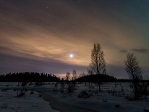 Preview wallpaper trees, snow, winter, twilight, nature