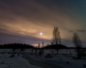 Preview wallpaper trees, snow, winter, twilight, nature