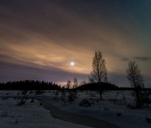 Preview wallpaper trees, snow, winter, twilight, nature