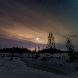 Preview wallpaper trees, snow, winter, twilight, nature
