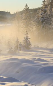 Preview wallpaper trees, snow, winter, forest, nature, fog