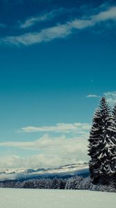 Preview wallpaper trees, snow, winter, glade, height, mountains, gloomy