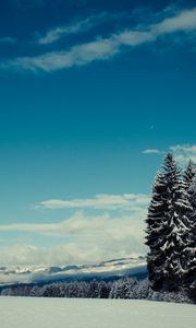 Preview wallpaper trees, snow, winter, glade, height, mountains, gloomy