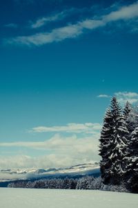 Preview wallpaper trees, snow, winter, glade, height, mountains, gloomy