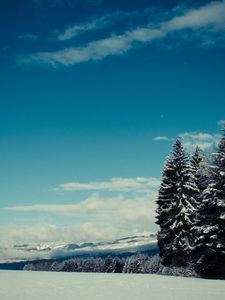 Preview wallpaper trees, snow, winter, glade, height, mountains, gloomy