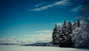 Preview wallpaper trees, snow, winter, glade, height, mountains, gloomy