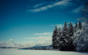 Preview wallpaper trees, snow, winter, glade, height, mountains, gloomy
