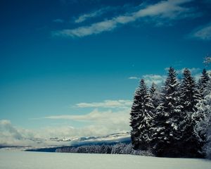 Preview wallpaper trees, snow, winter, glade, height, mountains, gloomy