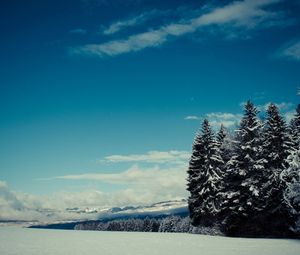 Preview wallpaper trees, snow, winter, glade, height, mountains, gloomy
