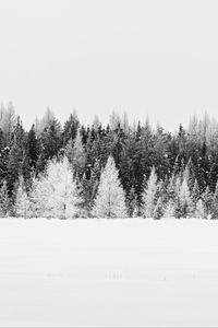 Preview wallpaper trees, snow, winter, forest, landscape, white