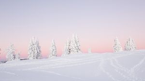 Preview wallpaper trees, snow, winter, landscape, white