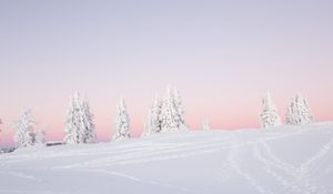 Preview wallpaper trees, snow, winter, landscape, white