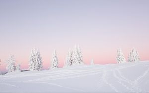 Preview wallpaper trees, snow, winter, landscape, white
