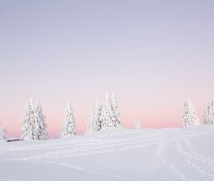 Preview wallpaper trees, snow, winter, landscape, white