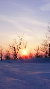 Preview wallpaper trees, snow, winter, sunrise, nature