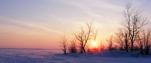 Preview wallpaper trees, snow, winter, sunrise, nature