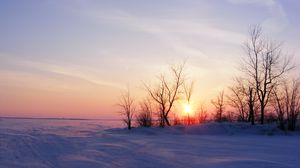 Preview wallpaper trees, snow, winter, sunrise, nature