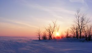 Preview wallpaper trees, snow, winter, sunrise, nature