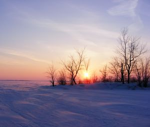 Preview wallpaper trees, snow, winter, sunrise, nature