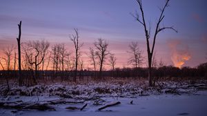 Preview wallpaper trees, snow, winter, sunrise