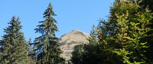 Preview wallpaper trees, spruce, mountain, landscape, nature