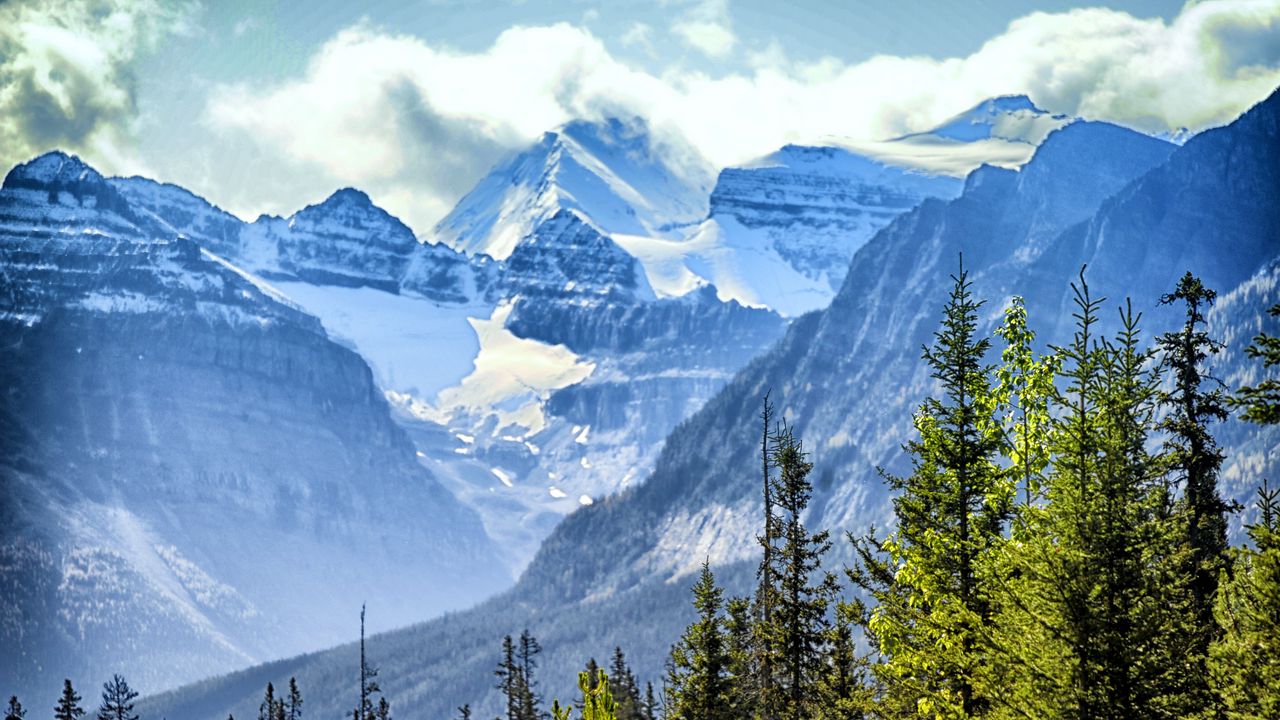 Wallpaper trees, spruce, mountains, clouds