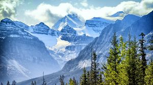 Preview wallpaper trees, spruce, mountains, clouds