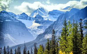 Preview wallpaper trees, spruce, mountains, clouds