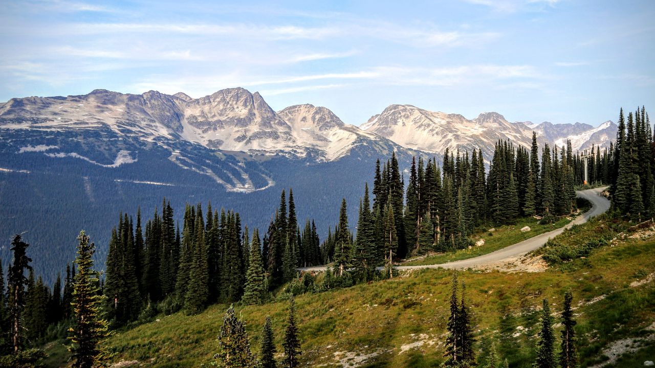 Wallpaper trees, spruce, mountains, snow, snowy, sky