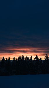 Preview wallpaper trees, spruce, sunset, snow, dusk, winter