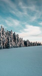 Preview wallpaper trees, spruces, snow, landscape, winter