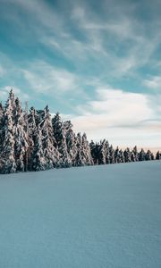 Preview wallpaper trees, spruces, snow, landscape, winter