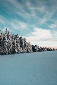 Preview wallpaper trees, spruces, snow, landscape, winter