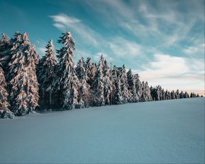 Preview wallpaper trees, spruces, snow, landscape, winter