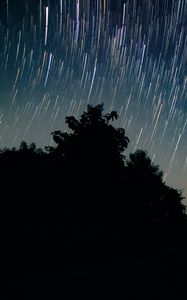 Preview wallpaper trees, starry sky, long exposure, night, dark