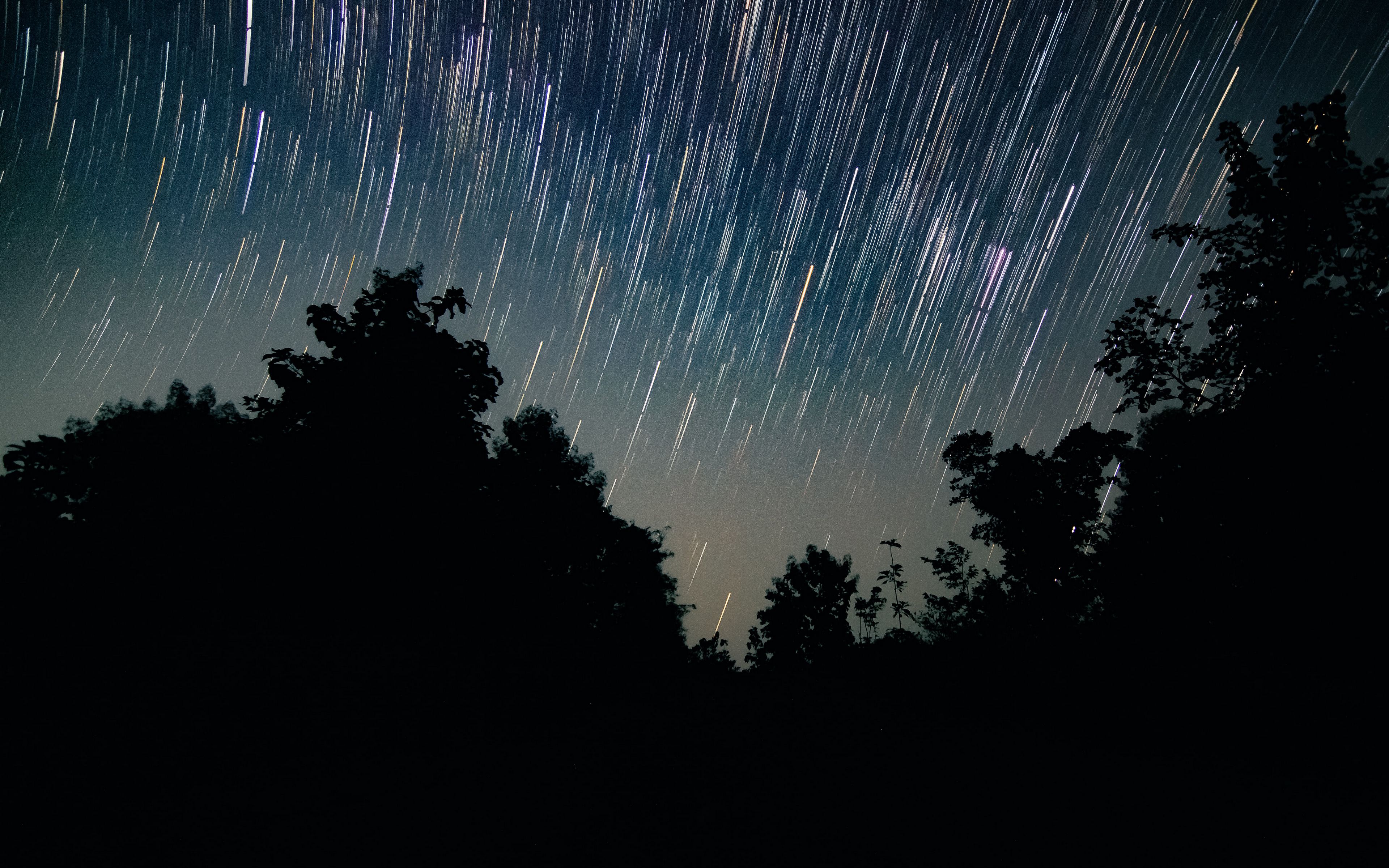 Download wallpaper 3840x2400 trees, starry sky, long exposure, night ...